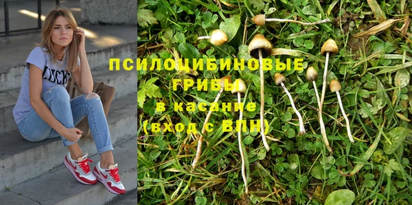 мяу мяу мука Липки