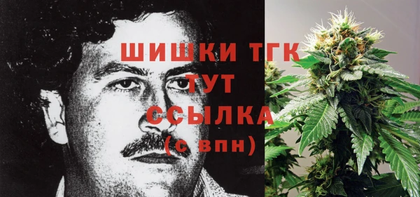 дживик Лихославль