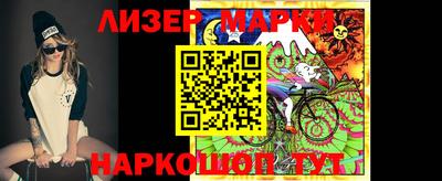 крисы Гатчина