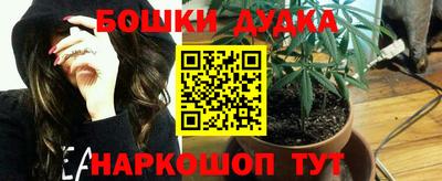крисы Гатчина