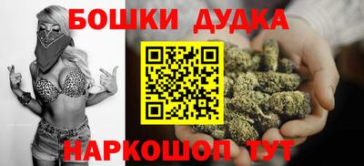 крисы Гатчина