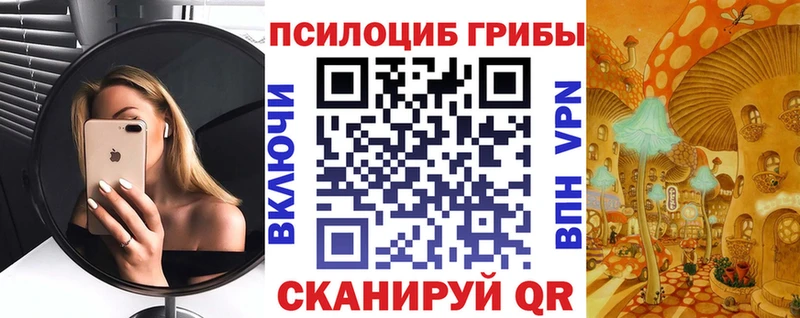 Галлюциногенные грибы Magic Shrooms  магазин  наркотиков  Нижний Новгород 