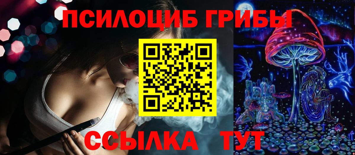 Псилоцибиновые грибы Cubensis Нижний Новгород