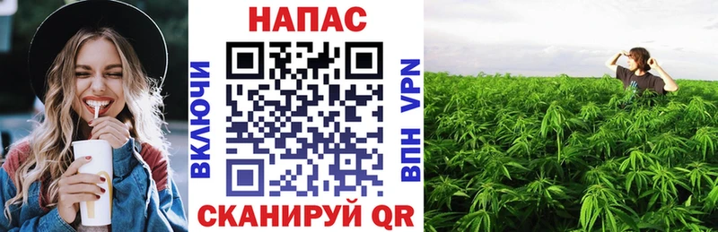 Бошки Шишки индика  купить   Нижний Новгород 